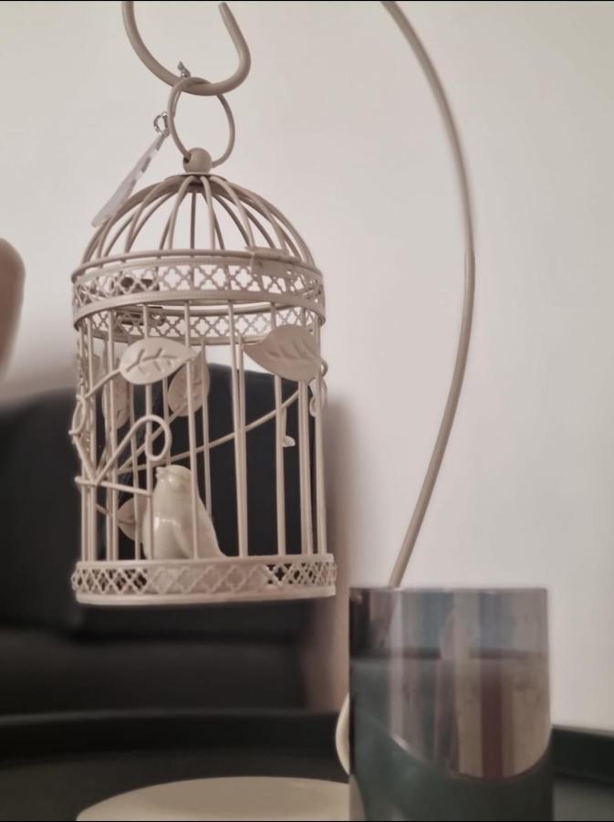 Stella Apartment Sibenik Charm&History United ภายนอก รูปภาพ