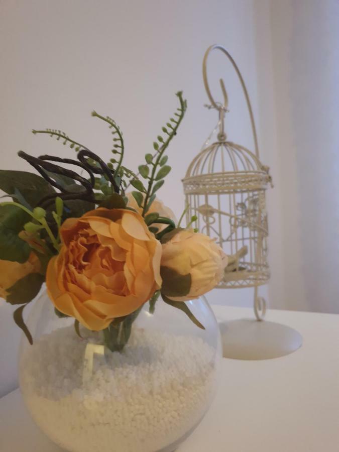 Stella Apartment Sibenik Charm&History United ภายนอก รูปภาพ