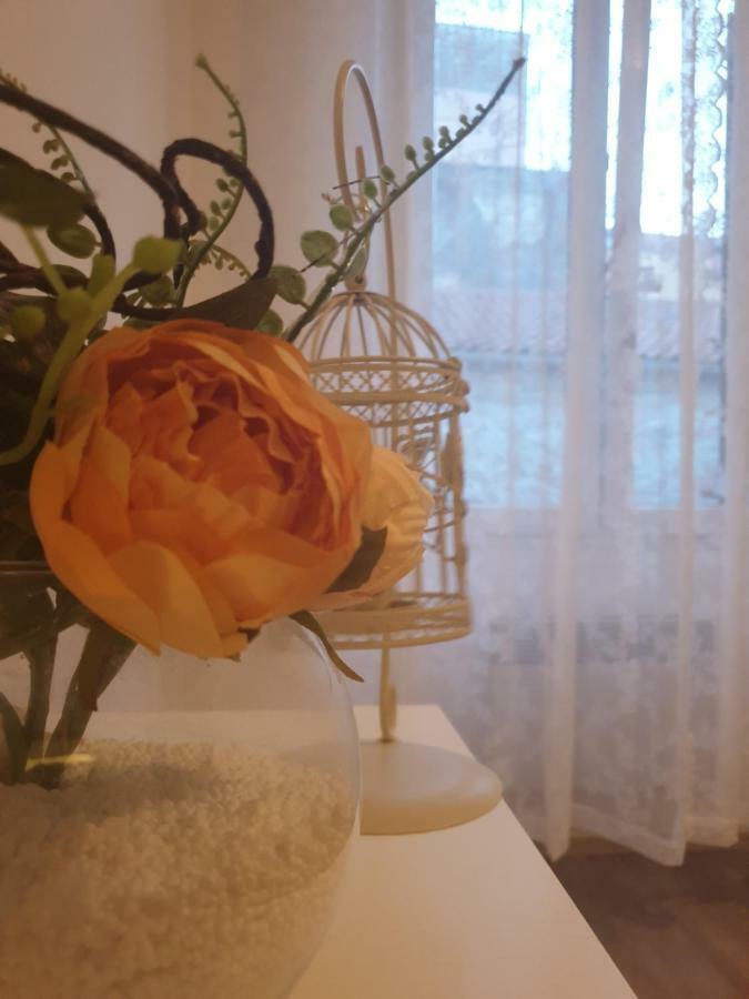 Stella Apartment Sibenik Charm&History United ภายนอก รูปภาพ