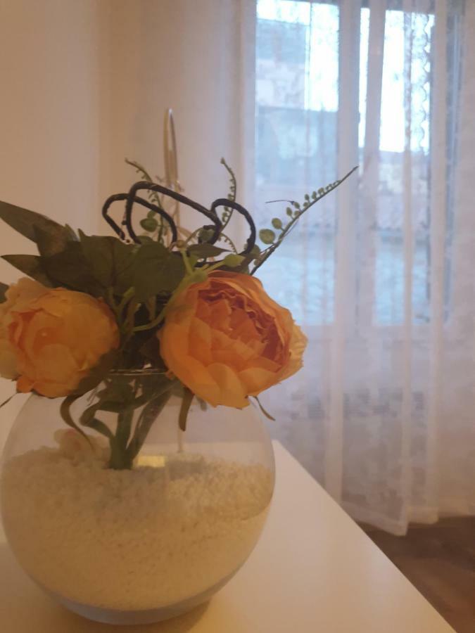 Stella Apartment Sibenik Charm&History United ภายนอก รูปภาพ
